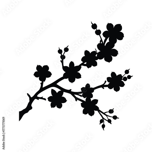 Silhouette of blossoming cherry tree branch against a white background in spring, cherry blossom branch silhouette vector illustration