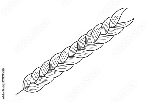 A stylized oblique ear of wheat illustrated with detailed line work