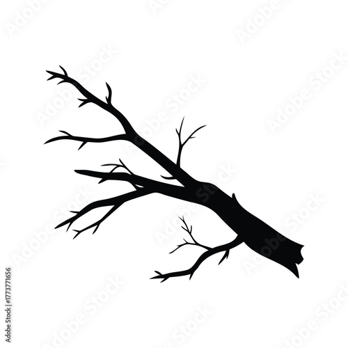 Striking Silhouette of a Bare Branch with Spiky Limbs Against a White Background, dead birch branch silhouette vector illustration