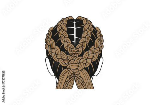 Braided hairstyle dark hair with light brown braids arranged around the head