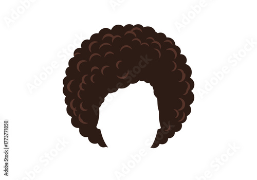 Brown afro hairstyle with detailed curls centered