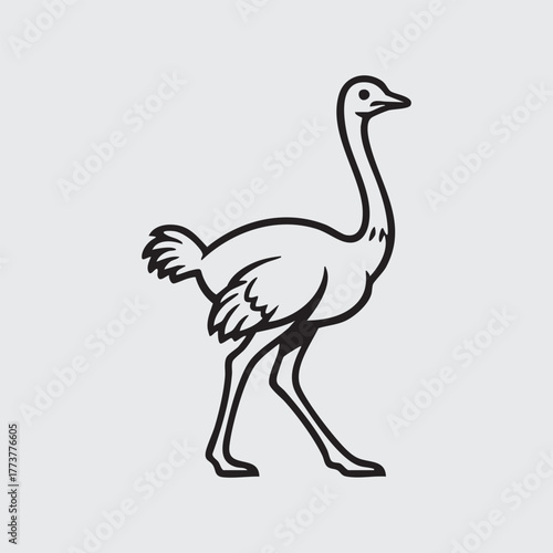 vector illustration of an ostrich