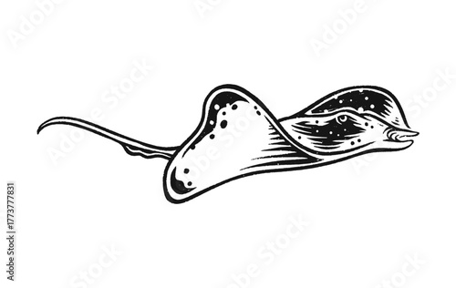 stingray fish hand drawing vintage retro style black