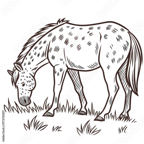 A charming hand drawn sketch of a dappled horse gracefully grazing in a field of lush green grass