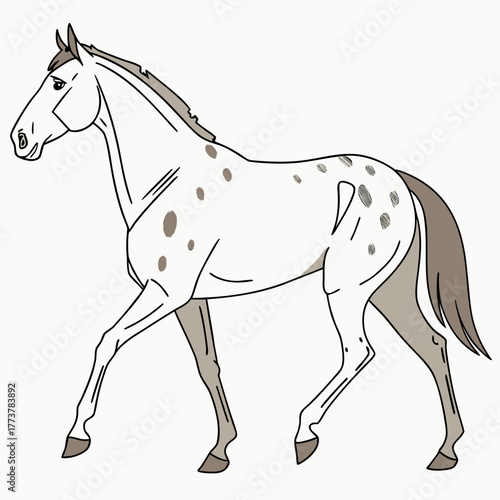 Stylized illustration of a spotted horse walking gracefully with a white background