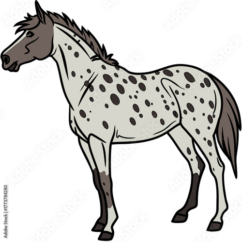 A stylized cartoon illustration of a spotted appaloosa horse standing gracefully on a white background