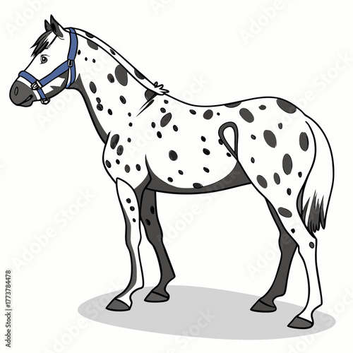 Cartoon appaloosa horse with blue halter standing sideways on white background with shadow