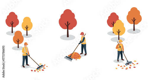Autumn park cleanup with workers collecting fall leaves in isometric style