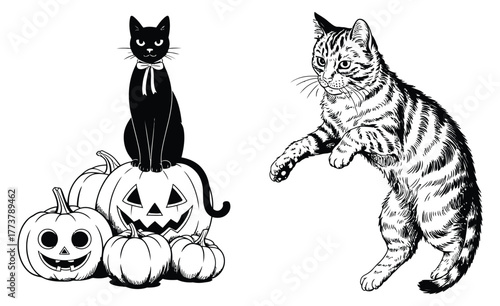 Psychedelic halloween cats artwork in vintage stipple photocopy effect, creepy grunge vector illustration perfect for posters, t-shirt prints and halloween decor