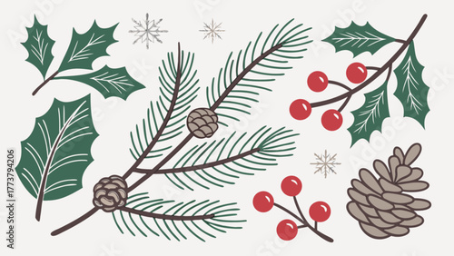 Christmas and new year festive illustration with fir branches, holly leaves, berries and pine cones