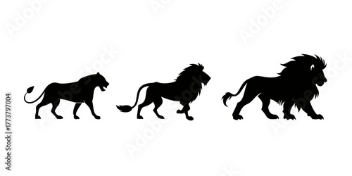 lion with mane big cat black silhouette logo set.