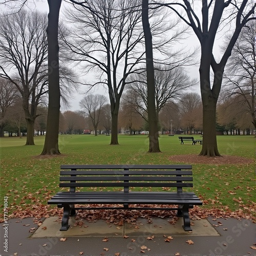 Empty park bench under bare trees with fallen leaves and overcast sky