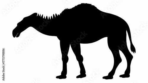 Silhouette of a camel with a long neck and a single hump standing on a white background image view
