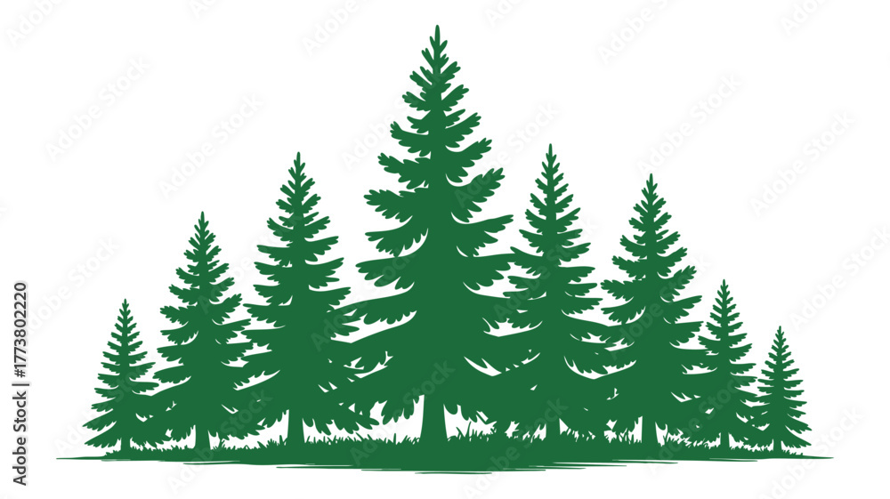Obraz premium Silhouette of a lush evergreen forest