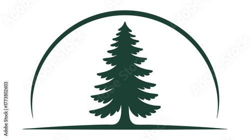 Green evergreen tree under an arch