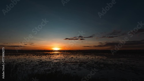 Beautiful sunrise over the tranquil wetland landscape with reflections of orange and blue sky on the calm water surface, peaceful nature scenery representing morning freshness, serenity