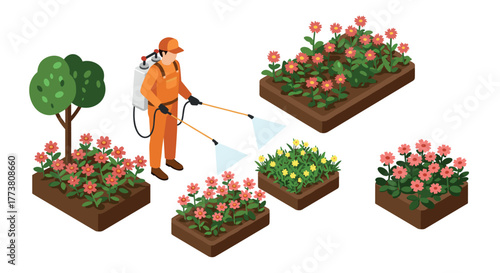 Gardener spraying pest control in isometric flower beds with blooming plants