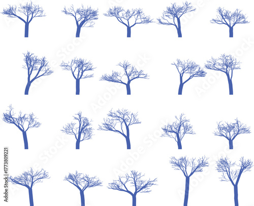 Collection of Bare Winter Tree Illustrations stroke