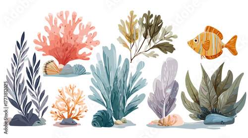 Vector illustration of a set of stylized ocean nature assets