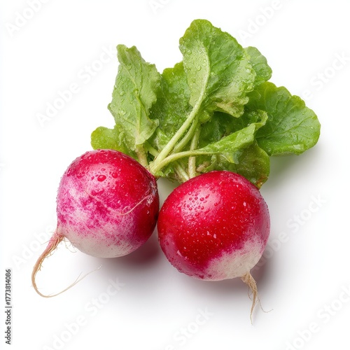 Two fresh radishes with their green leaves, capturing the essence of vibrant freshness