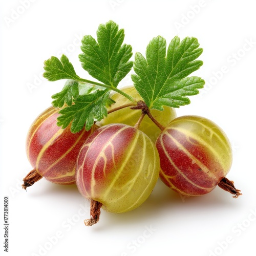 Fresh gooseberries with vibrant colors and textures, showcasing nature's delicious bounty. The photo highlights the delicate detail of each berry and leaf.