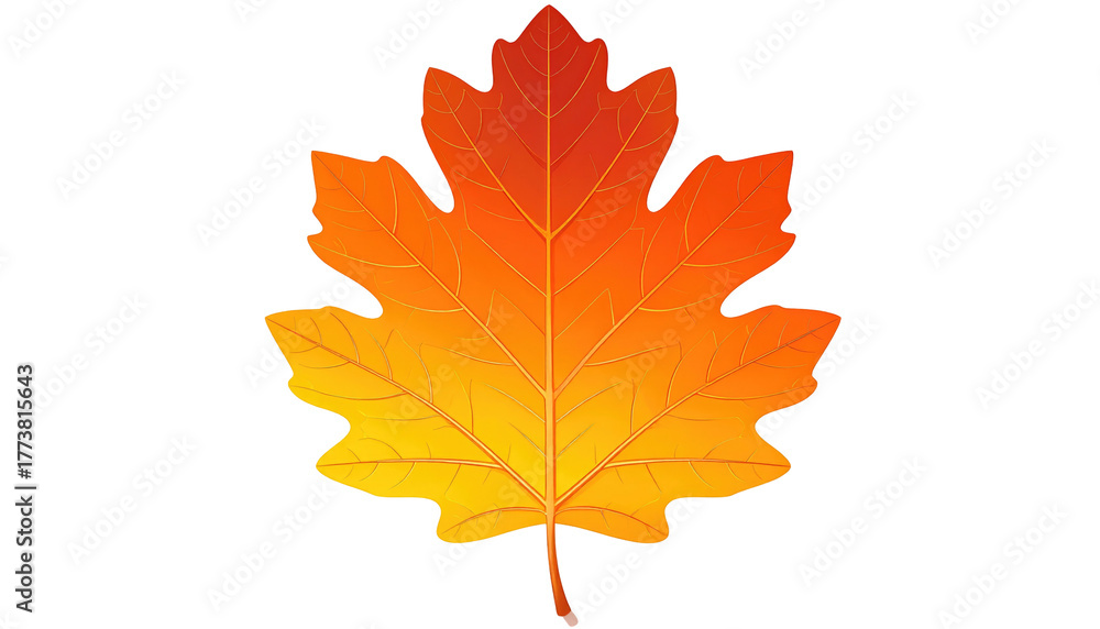 Fototapeta premium Digitally rendered single maple leaf in warm autumn colors isolated on a solid black background