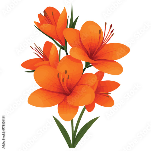 Orange Flower Botanical Illustration – Vibrant Floral Art for Nature-Inspired Design