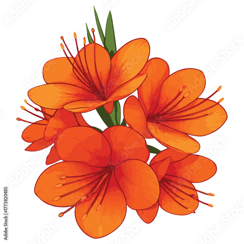 Orange Flower Botanical Illustration – Vibrant Floral Art for Nature-Inspired Design