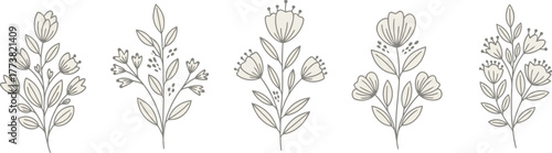 Elegant Botanical Floral Illustrations Set