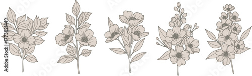 Elegant Botanical Floral Sketch Illustrations Set