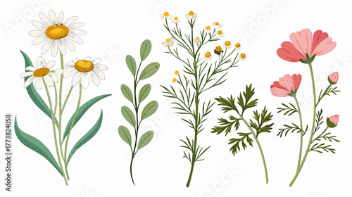 Isolated Watercolor Floral Elements: Chamomile, Rose, and Leaf Sprigs Set