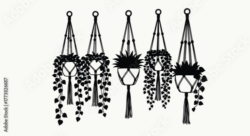 A collection of five black macrame plant hangers with foliage