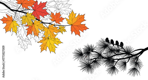 An artistic illustration featuring colorful maple foliage on branches and a stark silhouette of four small birds perched peacefully on a textured pine bough.