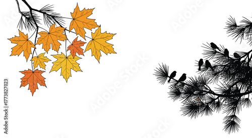 Vibrant autumn maple leaves on a branch contrast with a silhouette of small birds perched on a detailed pine tree branch.