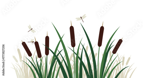 A tranquil illustration of cattails growing in a wetland, with several delicate dragonflies flying gracefully amidst the tall reeds, symbolizing nature's beauty.