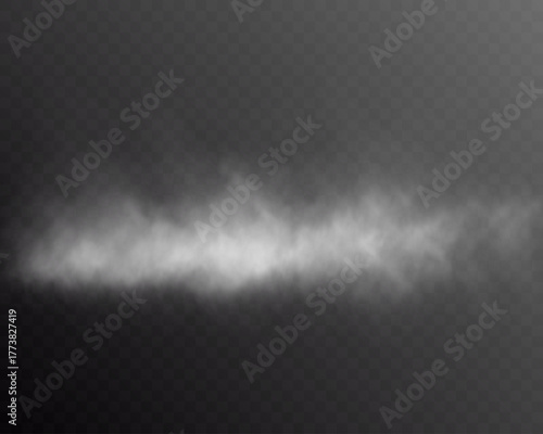 Realistic white smoke cloud horizontal effect on transparent background, fog or mist texture with soft haze, vapor or steam motion design element.