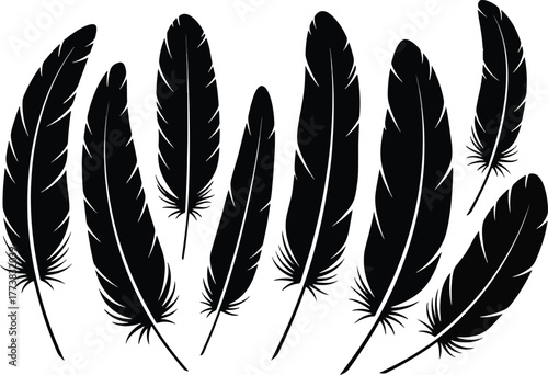 Black feathers set isolated vector silhouette graphic design element