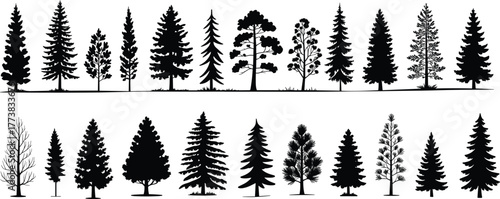 Flat vector silhouette set of diverse tree types, conifer and deciduous shapes, forest elements, botanical icons, black nature design illustration