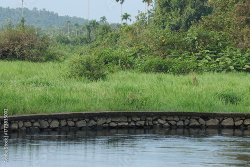 Water Canal in the middle of rice field in Kerala