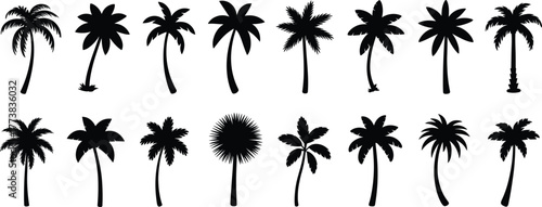 Flat vector collection of tropical palm tree silhouettes, black isolated icons, exotic nature elements, summer beach design, botanical illustration set