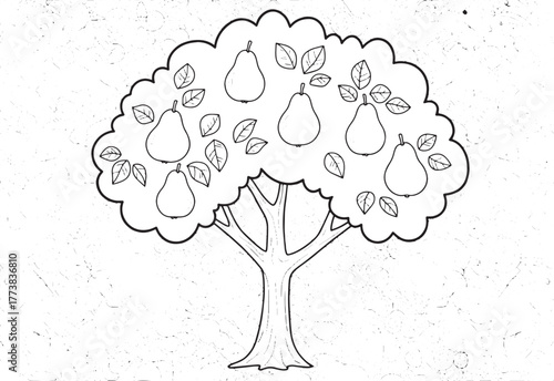 Intricate pear tree illustration suitable for adult coloring boo