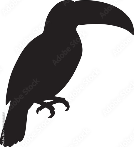 Silhouette toucan animal transparent