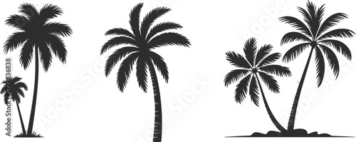 Flat vector silhouette of tropical palm trees, black isolated icons, summer beach elements, exotic nature design, vacation illustration set