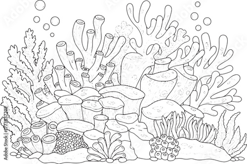 Detailed underwater coral reef illustration for coloring or educ