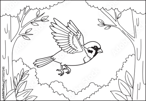 Sparrow soars in forest coloring page, nature illustration for k