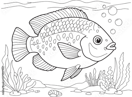 Stylized underwater scene featuring a tilapia fish with sea plan