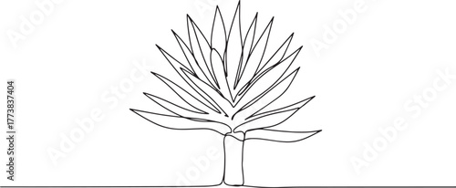 Minimalist Line Art Depicting a Drought-Resistant Plant Silhouet