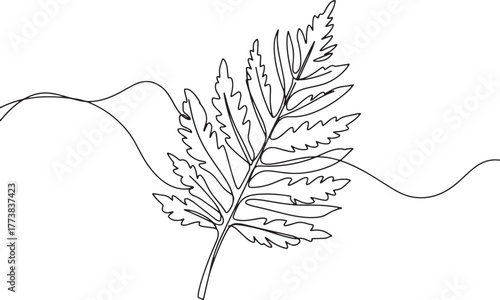 Elegant continuous line drawing of dawn redwood leaf against pla