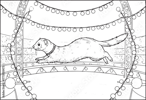 Ferret Performing in a Circus Show with Lights and Decorations i
