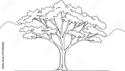 Elegant ironwood tree illustration in continuous line art minima